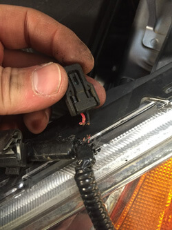 Vehicle Wiring is Tasty… to Rodents!
